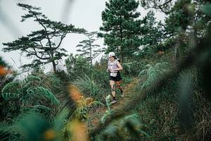 BIB: 
                            <button type="button" onclick="openModal(25259019)" class="btn btn-primary btn-sm float-right btn-popup" data-toggle="modal" data-target=".modal-high-quality">
                        <i class="fas fa-shopping-cart"></i> Add to Cart
                    </button>
                                            <button type="button" onclick="isThisMe(25259019, true)" class="btn btn-success btn-sm float-right btn-popup btn-isme hidden" data-toggle="tooltip" data-placement="bottom" title="นี่คือรูปของคุณใช่ไหม คลิกที่นี่เพื่อเอาเข้าอัลบั้ม">
                        <i class="fas fa-plus"></i> Add to album
                    </button>
                    <button type="button" onclick="isThisMe(25259019, false)" class="btn btn-warning btn-sm float-right btn-popup btn-isnotme hidden">
                        <i class="fas fa-ban"></i> Remove from album
                    </button>